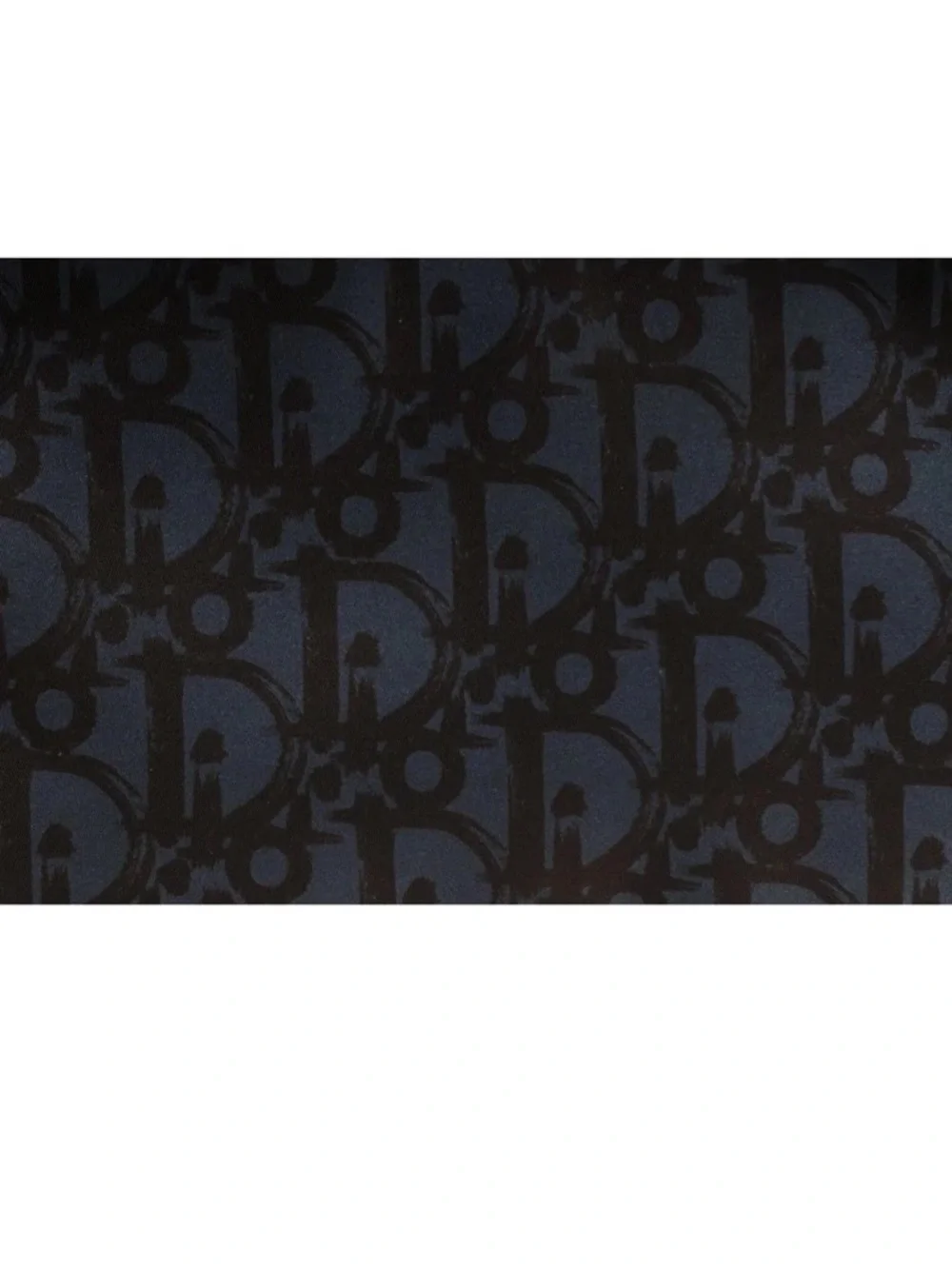 Dior Oblique Logo Pouch Blue /Black - Picture 4 of 9